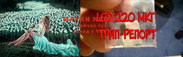 амф Абинск