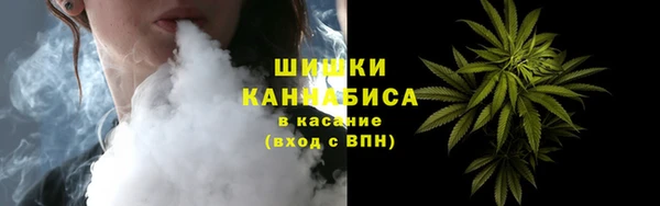 ПСИЛОЦИБИНОВЫЕ ГРИБЫ Медвежьегорск