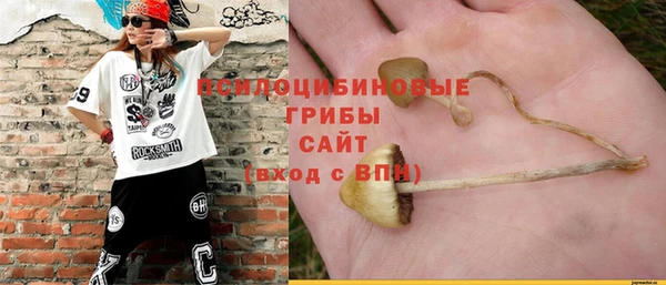 амф Абинск