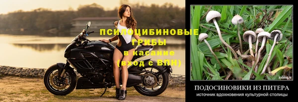 mdpv Абдулино
